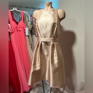 Alfred Sung Size 10 Golden Dress.